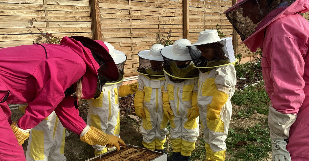 BeeKeeping_Main.png